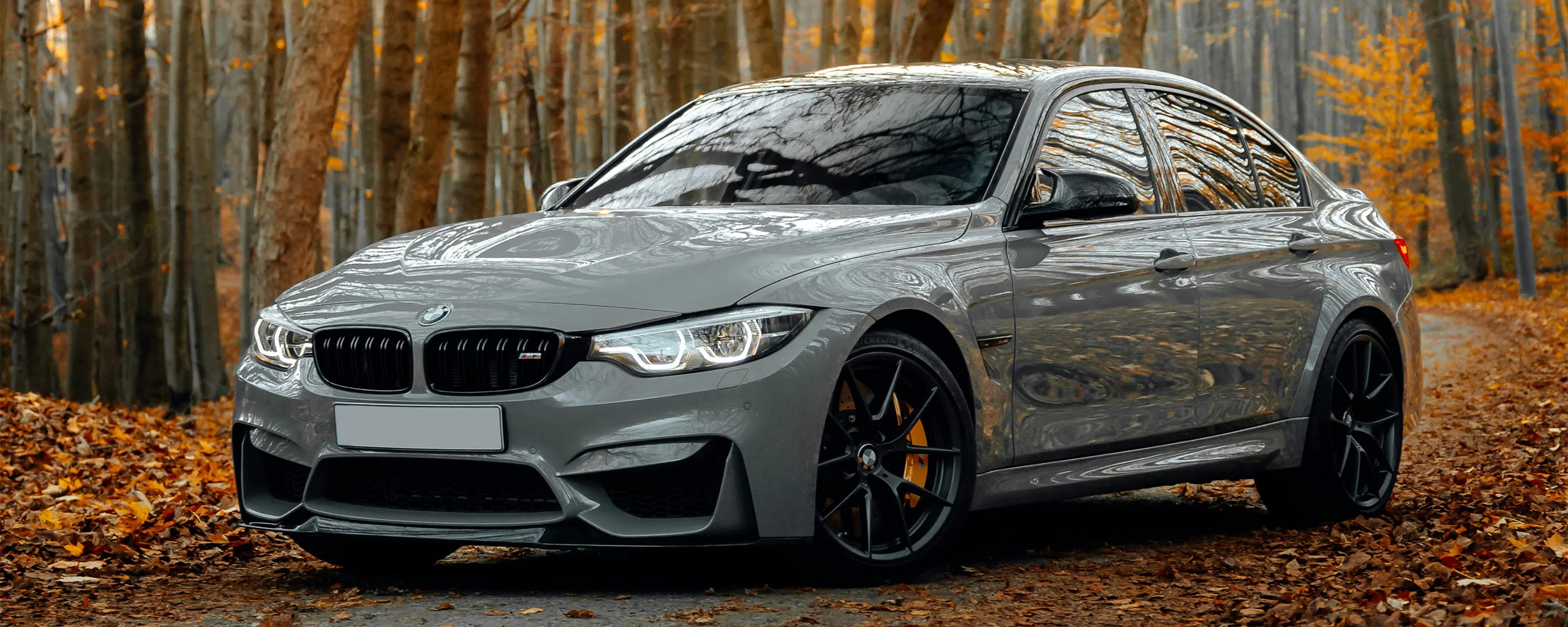 BMW Repair and Service near Washington, DC