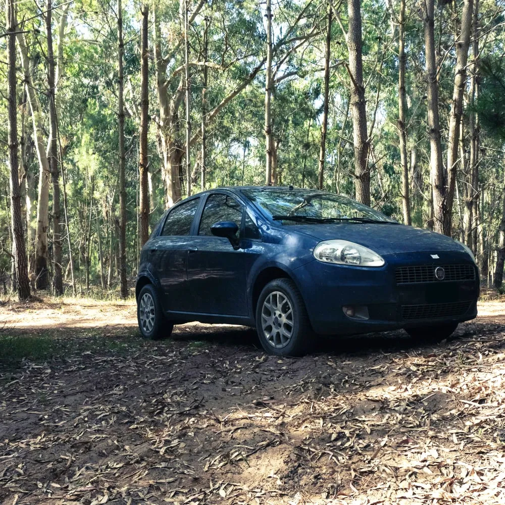 Fiat Repair and Service in Washington, DC