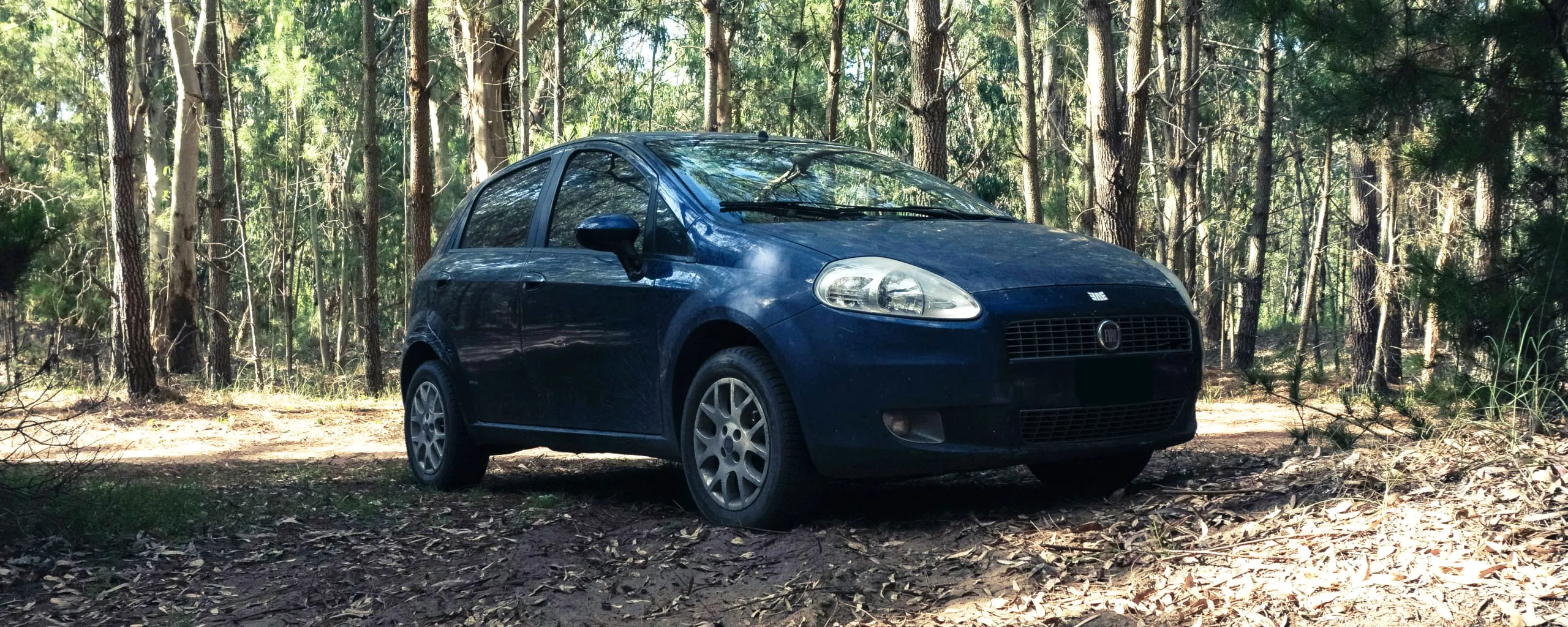 Fiat Repair and Service near Washington, DC